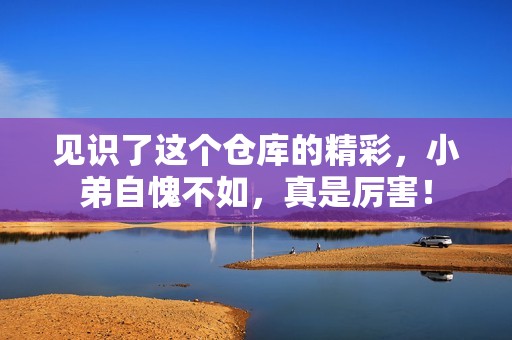 见识了这个仓库的精彩，小弟自愧不如，真是厉害！