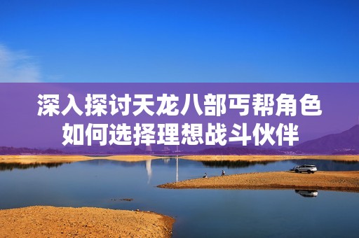 深入探讨天龙八部丐帮角色如何选择理想战斗伙伴
