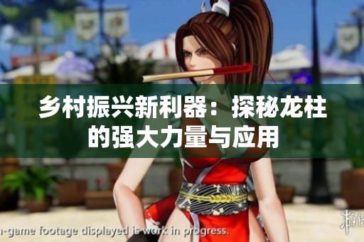 乡村振兴新利器：探秘龙柱的强大力量与应用