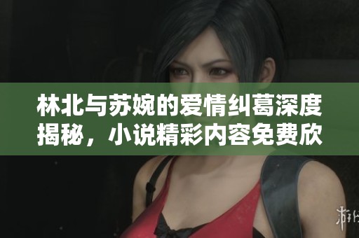 林北与苏婉的爱情纠葛深度揭秘，小说精彩内容免费欣赏