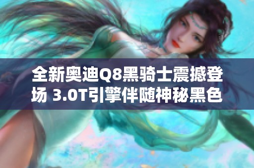 全新奥迪Q8黑骑士震撼登场 3.0T引擎伴随神秘黑色涂装