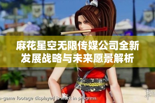 麻花星空无限传媒公司全新发展战略与未来愿景解析