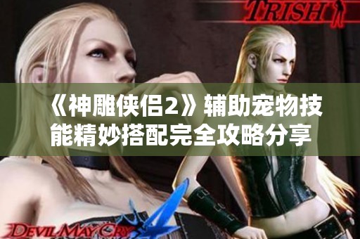 《神雕侠侣2》辅助宠物技能精妙搭配完全攻略分享