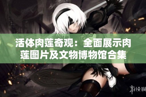 活体肉莲奇观：全面展示肉莲图片及文物博物馆合集