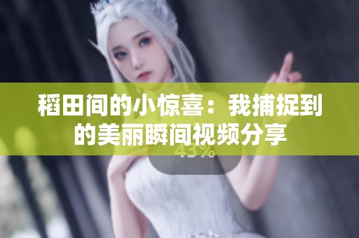 稻田间的小惊喜：我捕捉到的美丽瞬间视频分享