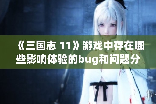 《三国志 11》游戏中存在哪些影响体验的bug和问题分析