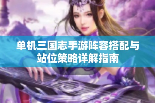 单机三国志手游阵容搭配与站位策略详解指南