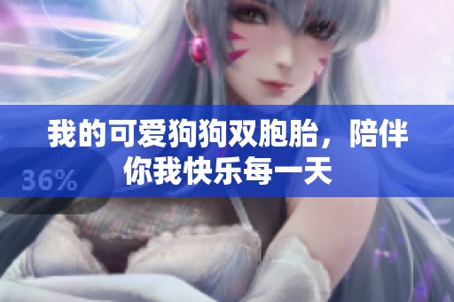 我的可爱狗狗双胞胎，陪伴你我快乐每一天