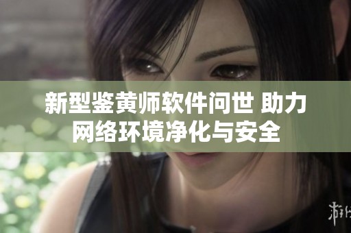 新型鉴黄师软件问世 助力网络环境净化与安全