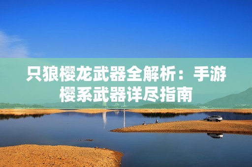 只狼樱龙武器全解析：手游樱系武器详尽指南
