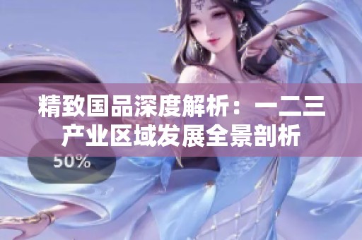 精致国品深度解析：一二三产业区域发展全景剖析