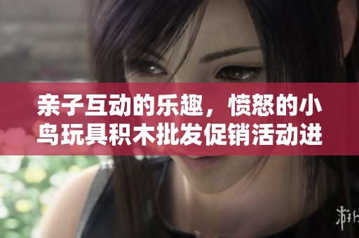 亲子互动的乐趣，愤怒的小鸟玩具积木批发促销活动进行中