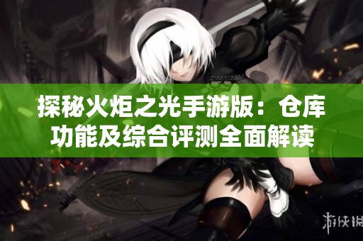 探秘火炬之光手游版：仓库功能及综合评测全面解读