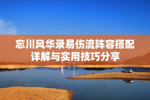 忘川风华录易伤流阵容搭配详解与实用技巧分享