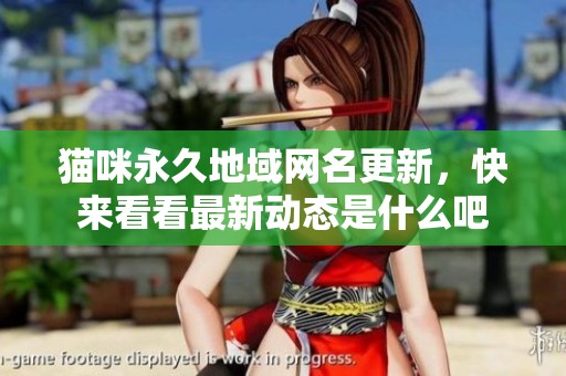 猫咪永久地域网名更新，快来看看最新动态是什么吧