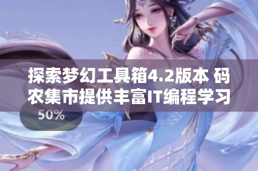 探索梦幻工具箱4.2版本 码农集市提供丰富IT编程学习资源