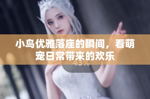 小鸟优雅落座的瞬间，看萌宠日常带来的欢乐