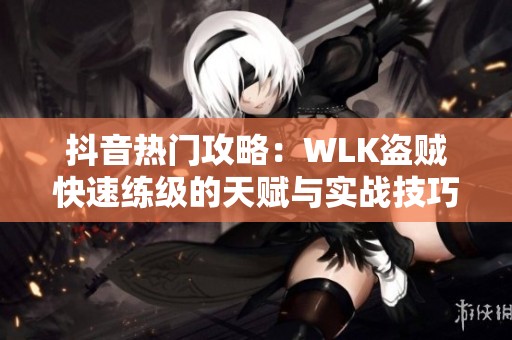 抖音热门攻略：WLK盗贼快速练级的天赋与实战技巧全解读