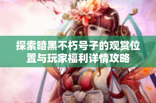 探索暗黑不朽号子的观赏位置与玩家福利详情攻略