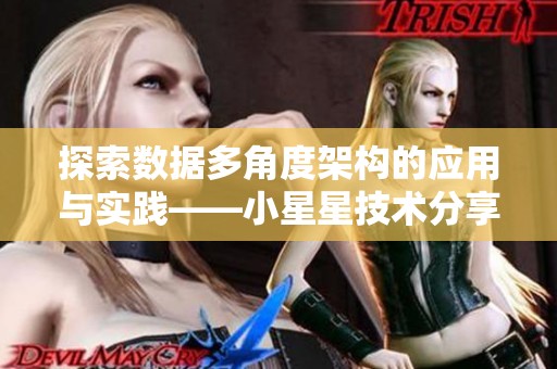 探索数据多角度架构的应用与实践——小星星技术分享