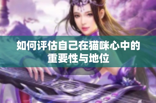 如何评估自己在猫咪心中的重要性与地位