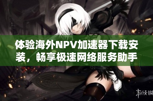 体验海外NPV加速器下载安装，畅享极速网络服务助手