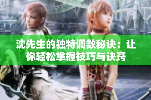 沈先生的独特调数秘诀：让你轻松掌握技巧与诀窍