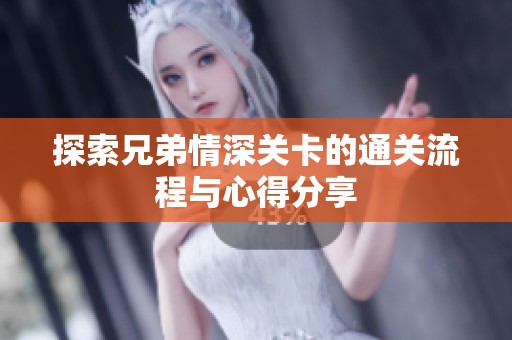 探索兄弟情深关卡的通关流程与心得分享