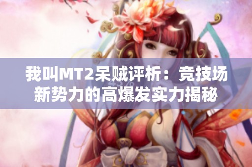 我叫MT2呆贼评析：竞技场新势力的高爆发实力揭秘