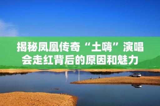 揭秘凤凰传奇“土嗨”演唱会走红背后的原因和魅力