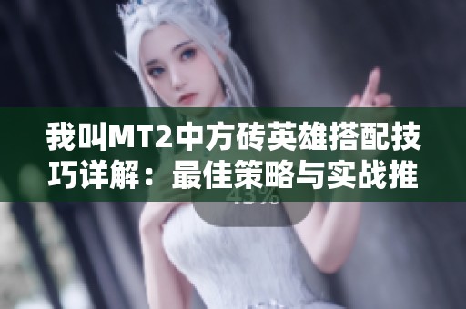 我叫MT2中方砖英雄搭配技巧详解：最佳策略与实战推荐