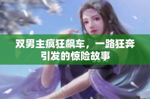 双男主疯狂飙车，一路狂奔引发的惊险故事