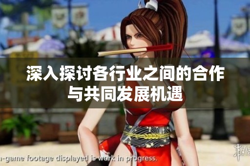 深入探讨各行业之间的合作与共同发展机遇