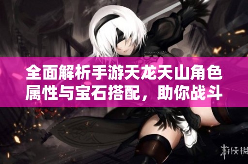 全面解析手游天龙天山角色属性与宝石搭配，助你战斗力飙升攻略分享