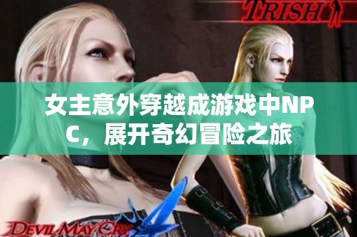 女主意外穿越成游戏中NPC，展开奇幻冒险之旅