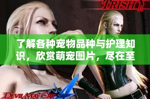了解各种宠物品种与护理知识，欣赏萌宠图片，尽在至Q宠物屋的精彩世界