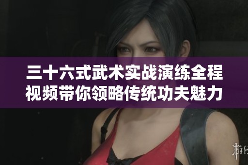 三十六式武术实战演练全程视频带你领略传统功夫魅力