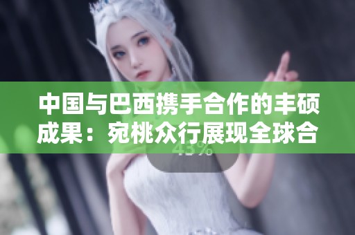 中国与巴西携手合作的丰硕成果：宛桃众行展现全球合作新篇章