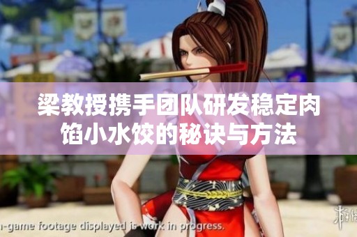 梁教授携手团队研发稳定肉馅小水饺的秘诀与方法