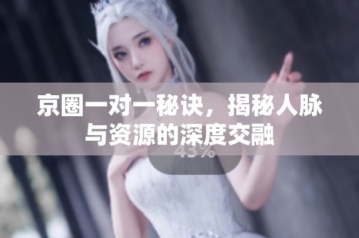 京圈一对一秘诀，揭秘人脉与资源的深度交融