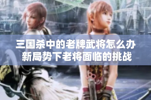 三国杀中的老牌武将怎么办 新局势下老将面临的挑战与新将崛起的影响分析