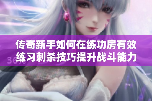 传奇新手如何在练功房有效练习刺杀技巧提升战斗能力秘诀分享