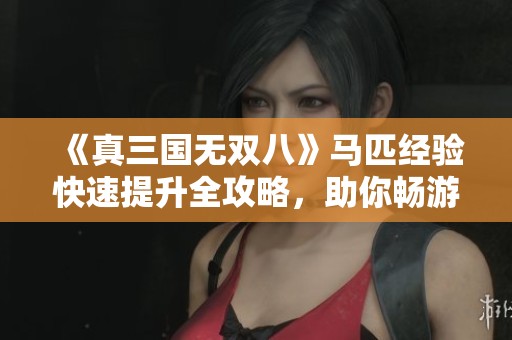 《真三国无双八》马匹经验快速提升全攻略，助你畅游三国世界！