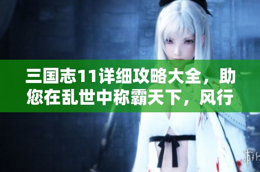 三国志11详细攻略大全，助您在乱世中称霸天下，风行手游网全新推荐