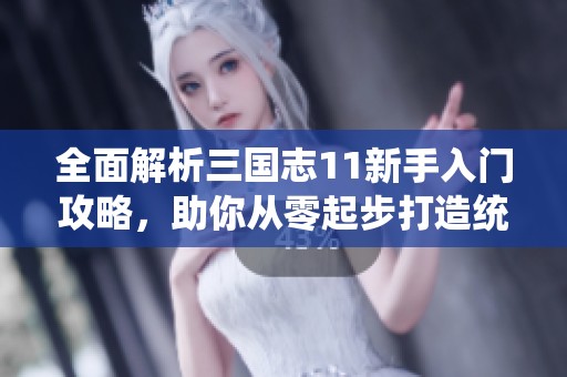 全面解析三国志11新手入门攻略，助你从零起步打造统一霸业之梦