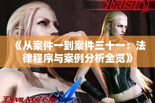 《从案件一到案件三十一：法律程序与案例分析全览》
