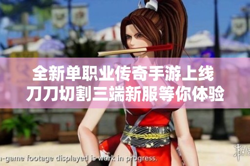 全新单职业传奇手游上线 刀刀切割三端新服等你体验精彩战斗