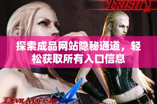 探索成品网站隐秘通道，轻松获取所有入口信息