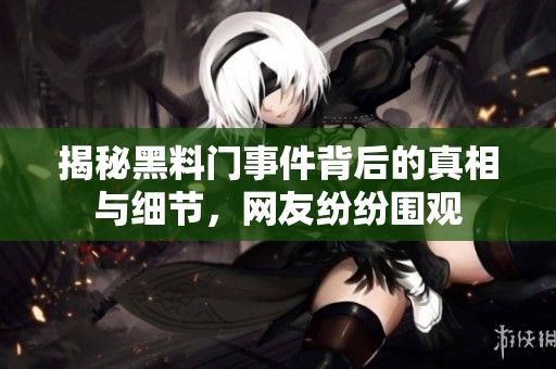 揭秘黑料门事件背后的真相与细节，网友纷纷围观