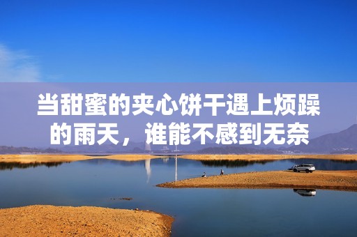 当甜蜜的夹心饼干遇上烦躁的雨天，谁能不感到无奈